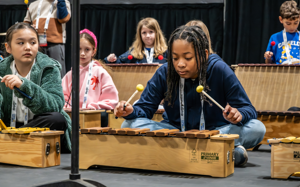Orff Xylophone Performer