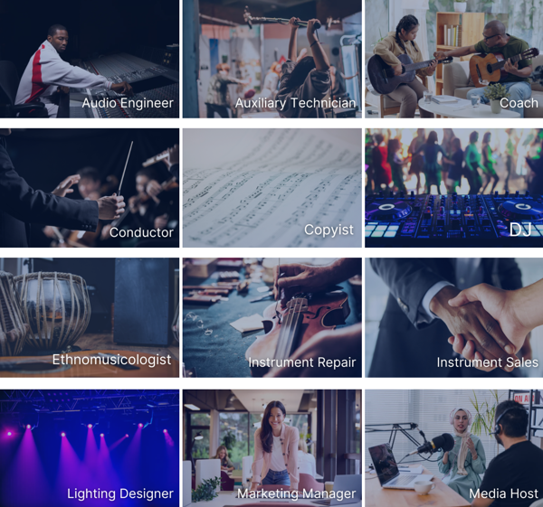 Screenshot of the NFHS Music Careers Page. Click to go there.