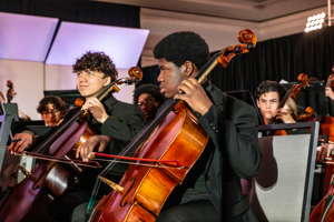 Cellos in an orchestra